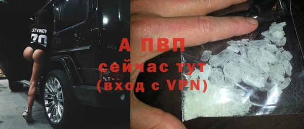 MESCALINE Горняк