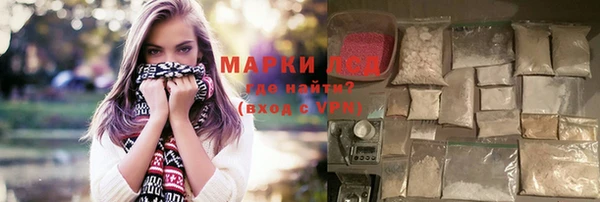 сатива Горнозаводск