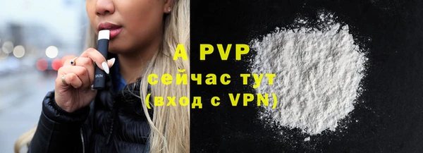 сатива Горнозаводск