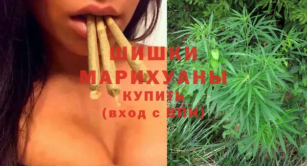 сатива Горнозаводск