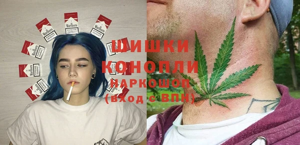 сатива Горнозаводск